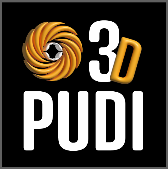 3DPudi